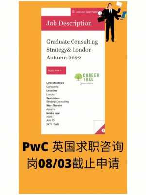 pwc人力资源咨询项目报价（人力资源咨询case）-图2