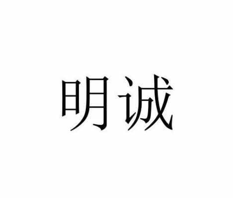 明诚人力信息咨询（明诚集团公司）-图2