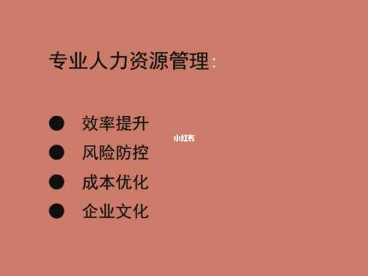 国内专业人力资源咨询（国内专业人力资源咨询排名）-图2