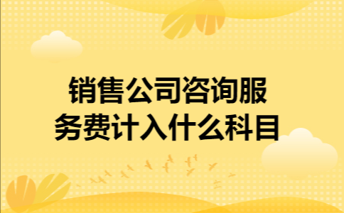 潼南区人力资源咨询费用（人力资源咨询服务费计入什么科目）