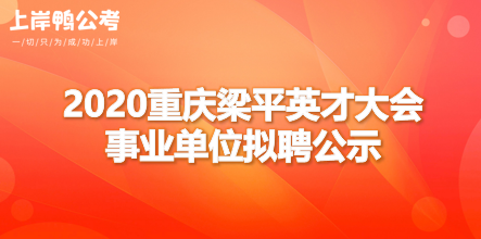 梁平区人力资源咨询有哪些（重庆梁平人力资源部）-图1