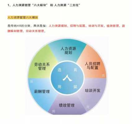 人力资源咨询四大DDI（人力咨询6大模块和三支柱）-图1