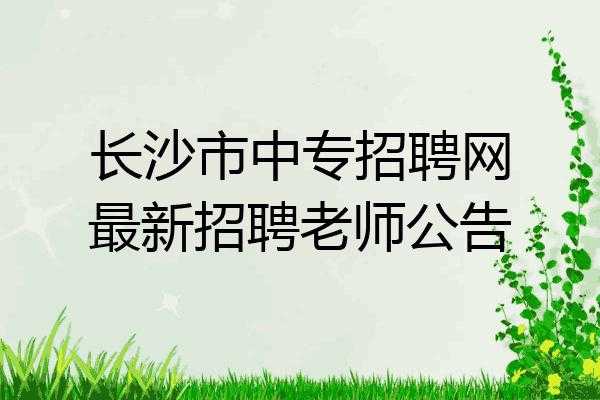 长沙人力咨询招聘信息最新（长沙人力资源招聘公司）-图2