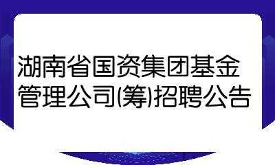 国有独资人力资源咨询公司（国有独资公司招聘）