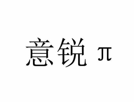 杭州意锐人力资源咨询公司（意锐科技有限公司）-图1