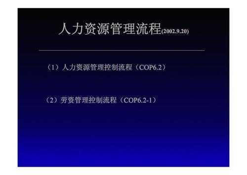 人力资源咨询pdf（人力资源咨询机构）