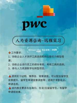 pwc咨询人力资源（人力资源咨询招聘）-图2