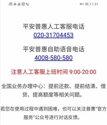 平安普惠人力咨询电话号码（平安普惠人工服务热线电话号码是多少）-图2