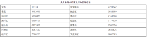 淄博人力补贴政策咨询电话（淄博人社局人才补贴）