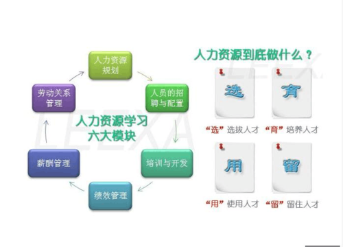 人力咨询6大板块怎么样（人力咨询是做什么的）-图1