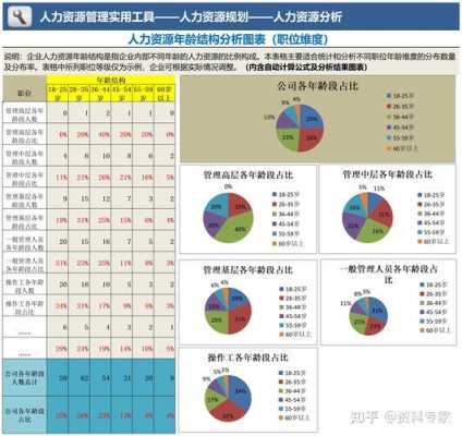 人力资源咨询年报模板（人力资源管理咨询报告）-图3