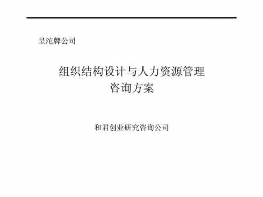 人力资源咨询设计方案（人力资源咨询设计方案怎么写）-图3