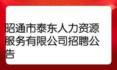 人力资源咨询公司招聘条件是什么（人力资源咨询服务有限公司）