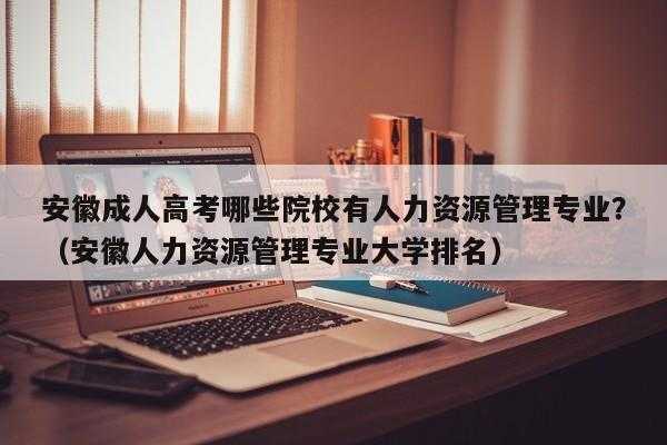 二本有可能去人力咨询吗（二本的人力资源学校有哪些）-图2