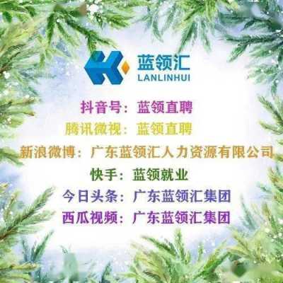 江海区蓝领汇人力资源管理咨询（蓝领汇才人力资源）-图3