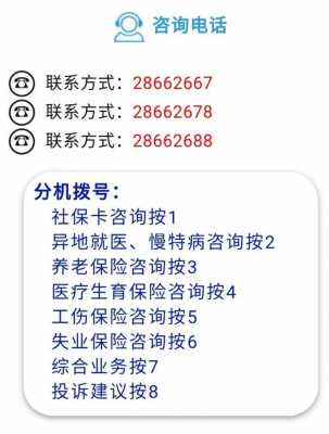 人力社保局怎么咨询客服（人力社保局人工客服电话）-图3