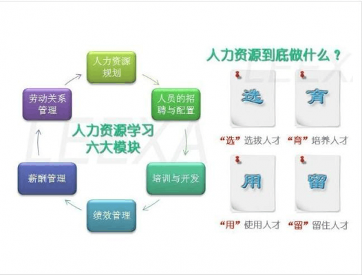 人力咨询赛道（人力咨询六大板块）-图1