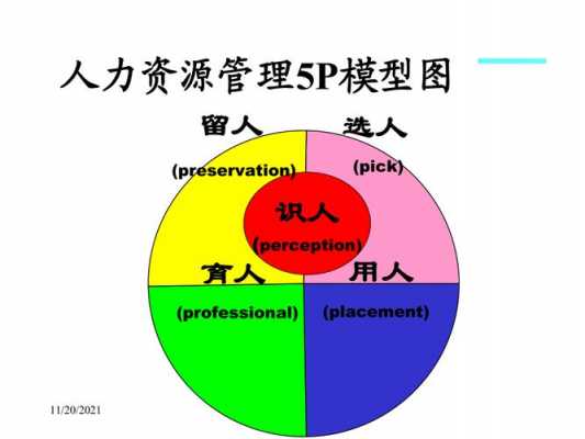 咨询公司人力资源模型（咨询公司人力资源模型设计）-图3