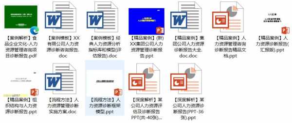 人力资源咨询项目诊断报告（人力资源咨询项目诊断报告模板）-图3