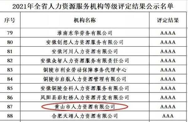 合肥人力资源测评咨询公司（合肥人力资源测评咨询公司排名）-图1