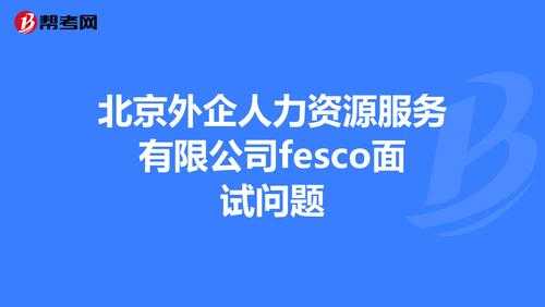 安徽外企人力咨询（安徽外企人力资源服务）-图3