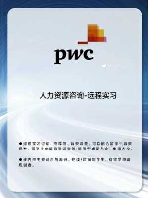 pwc咨询人力资源系统（pwc咨询工资）-图3