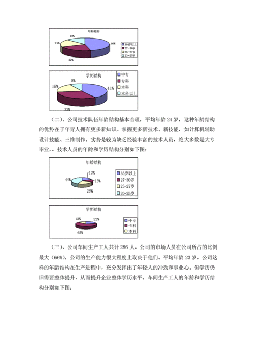 咨询公司人力调研（咨询公司调研报告）-图2