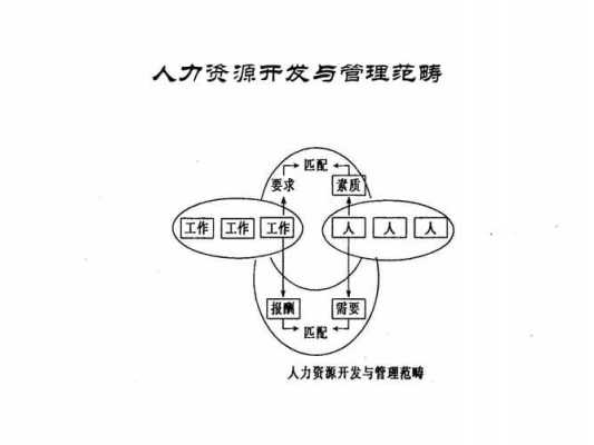 怎样对咨询人力（咨询人力资源部的问题）