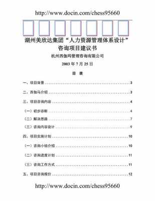 人力资源咨询管理的投标（人力资源管理咨询项目建议书）-图3