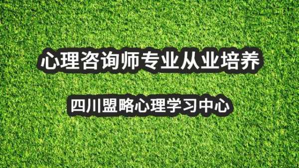 成都企业人力咨询师工资（企业人力咨询管理师）-图1