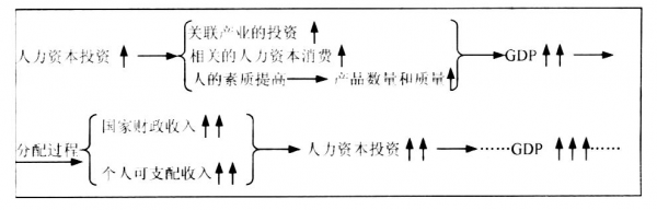 人力资本管理咨询跳槽方向（人力资本管理咨询跳槽方向怎么写）-图2