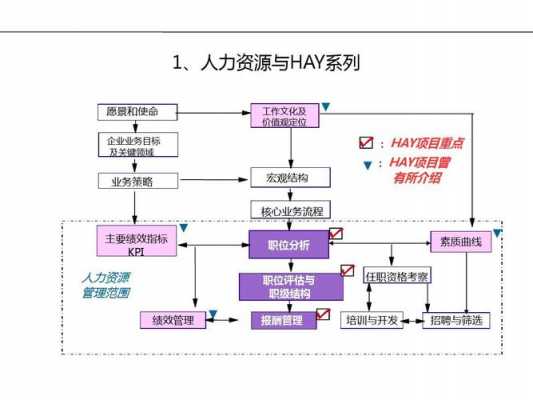 人力资源咨询体系包括（人力资源咨询体系包括哪些）-图2