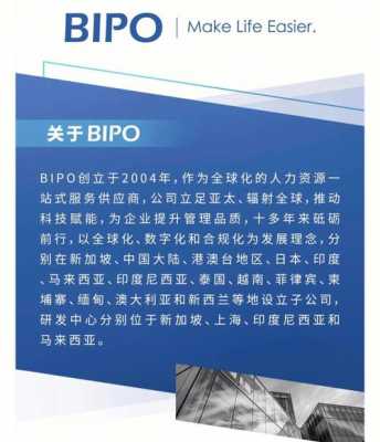 bipo人力咨询公司（国内人力咨询公司排名）-图2