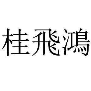 广西鸿飞人力咨询公司（广西飞鸿投资有限公司）-图3