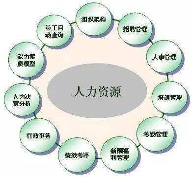 人力资源管理咨询的类型（人力资源管理咨询是做什么的）-图1