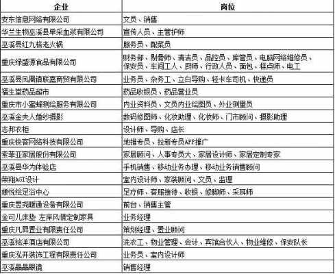 巫溪人力资源咨询费用多少（人力资源咨询公司收费标准）-图2