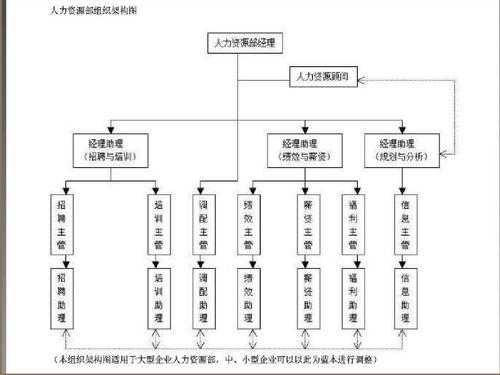 人力资源体系搭建咨询公司（人力资源咨询公司组织结构图）-图1