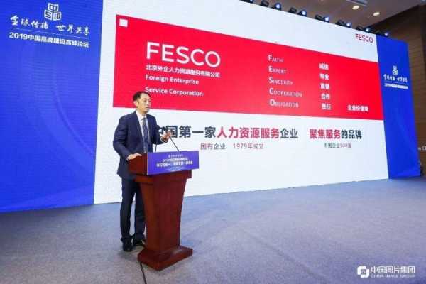 德勤人力咨询和fesco（德勤人力资源有限公司）