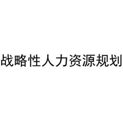 人力咨询跳战略（人力资源战略咨询公司）