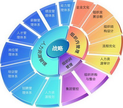 人力咨询跳战略（人力资源战略咨询公司）-图3