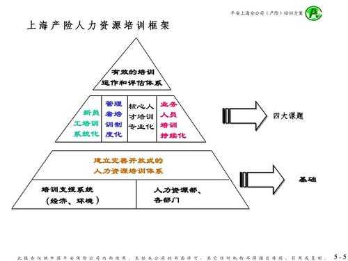 麦肯锡人力资源咨询报告（麦肯锡人才能力测评案例）-图2