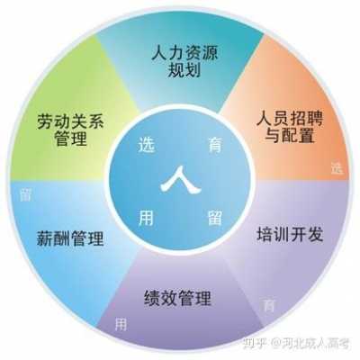 人力资源管理咨询事件（人力资源管理咨询是做什么的）-图3