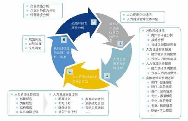 人力资源规划战略咨询（人力资源战略规划系统）-图3