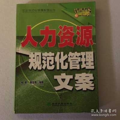 人力资源咨询宣传语录文案（人力资源咨询是什么意思）-图2