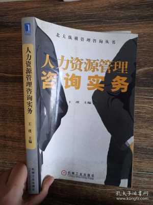 人力资源管理咨询实务（人力资源管理咨询是什么意思）-图2