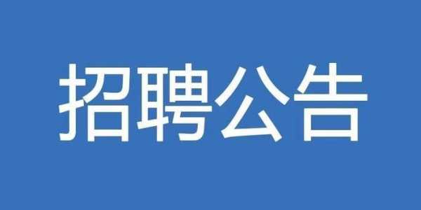 徐州人力资源咨询公司招聘（徐州人力资源咨询公司招聘）-图3