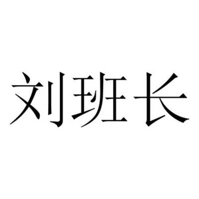 刘班长人力咨询（刘班长免费培训）-图3