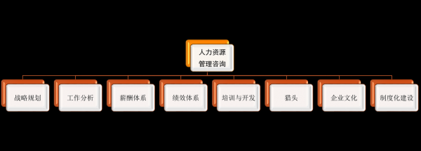 咨询公司的人力资源特点（人力资源管理咨询公司的关键成功因素）-图1