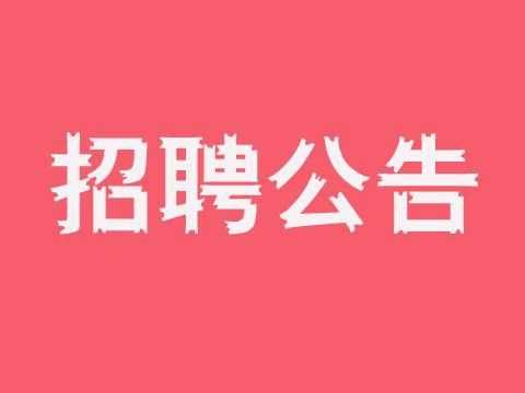 城市人力咨询招聘信息最新（中国城市人力资源管理服务中心）-图3